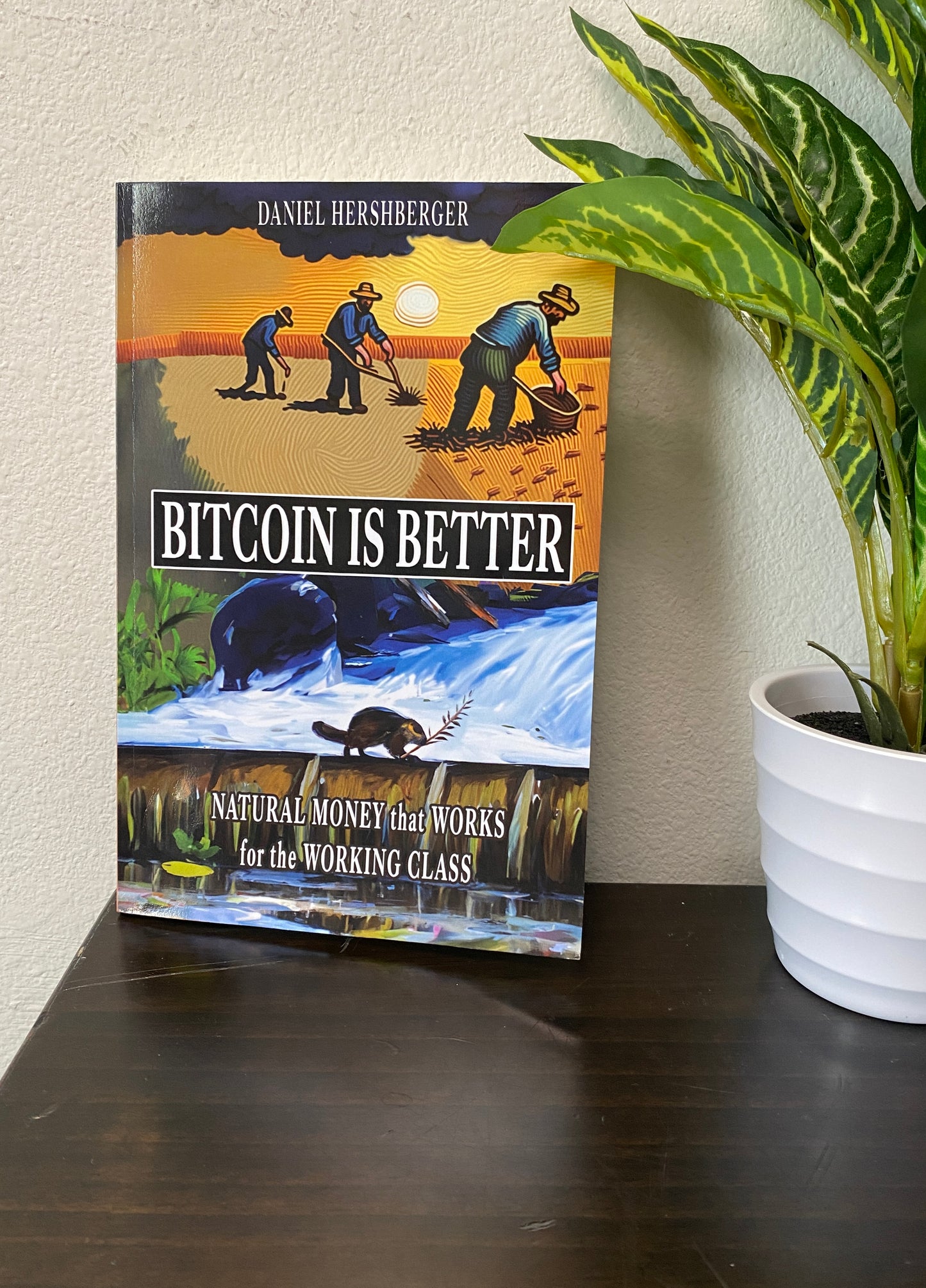 Bitcoin is Better: Natural Money that Works for the Working Class