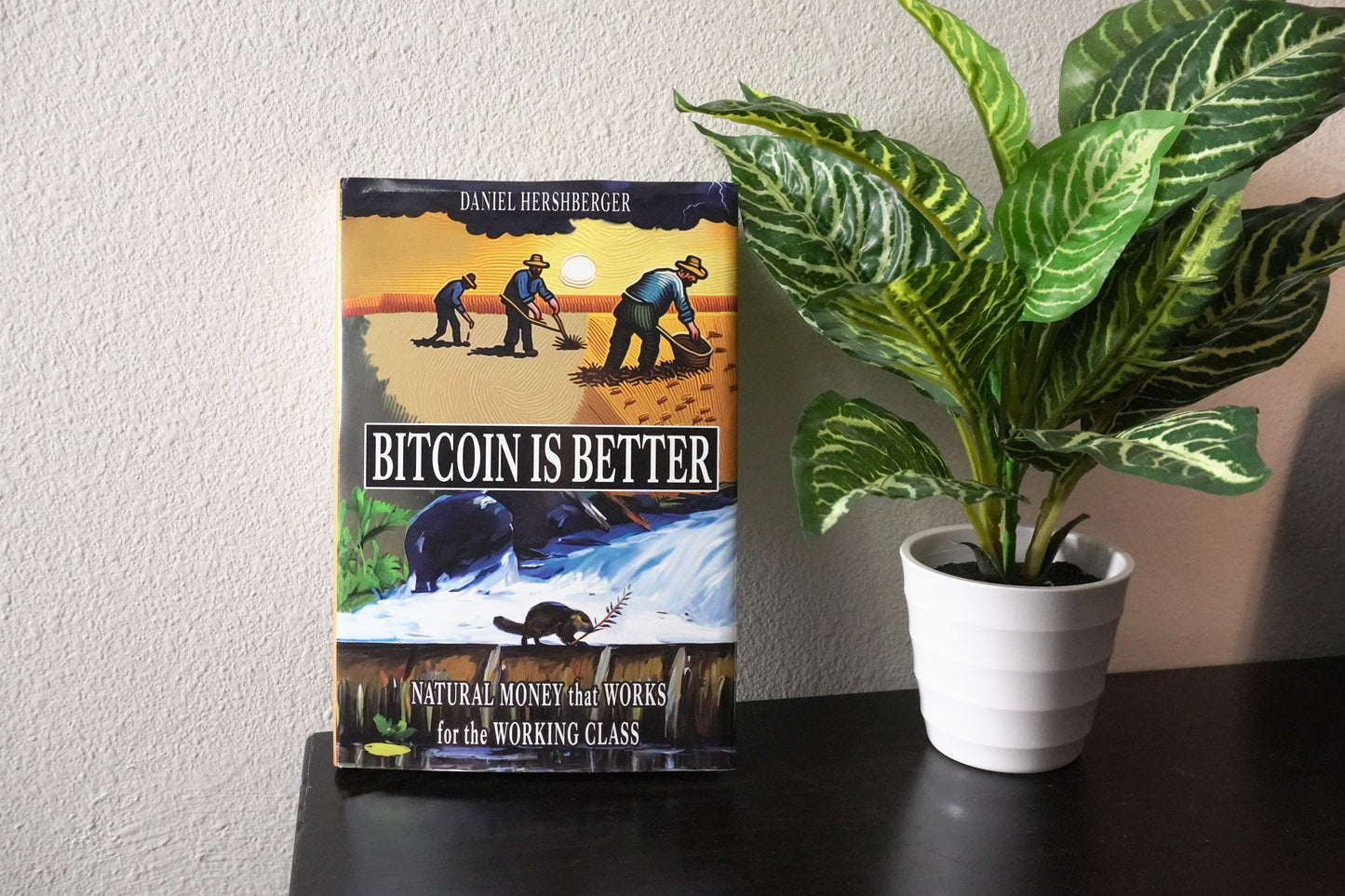 Bitcoin is Better: Natural Money that Works for the Working Class