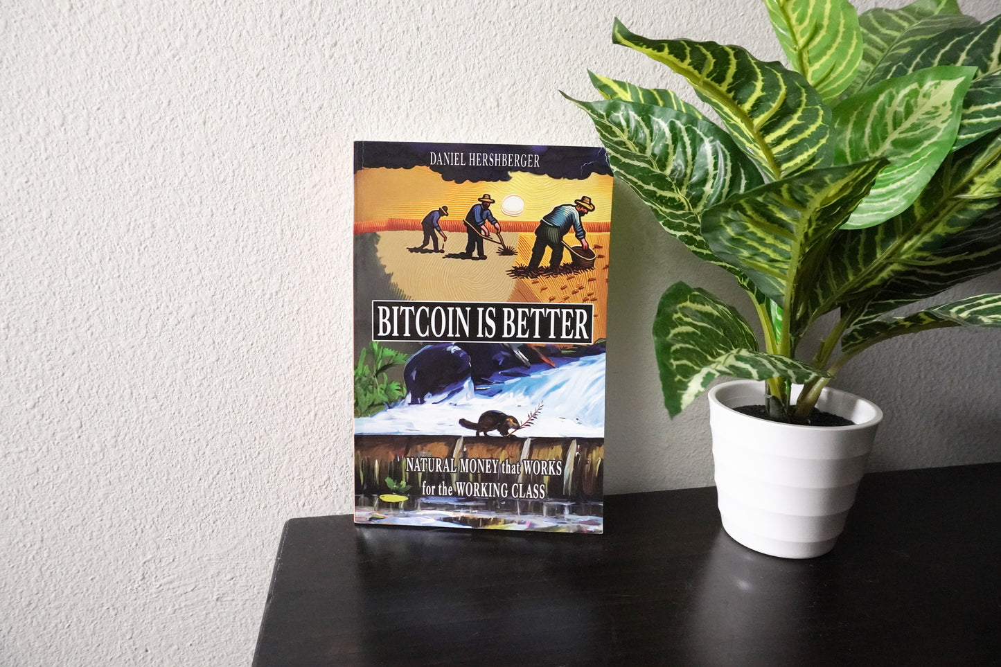 Bitcoin is Better: Natural Money that Works for the Working Class